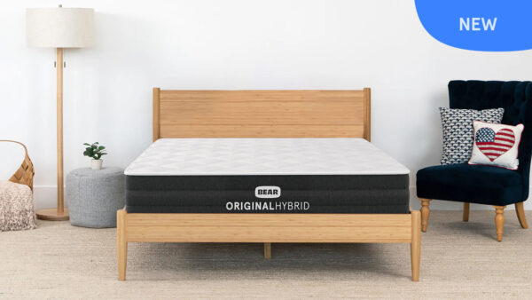 Bear Original Hybrid