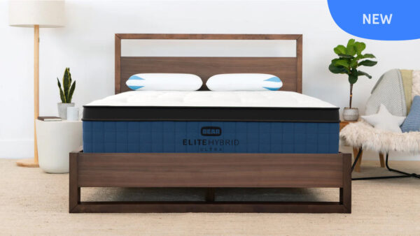 Bear Elite Ultra Hybrid