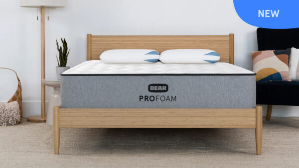 Bear Pro Foam
