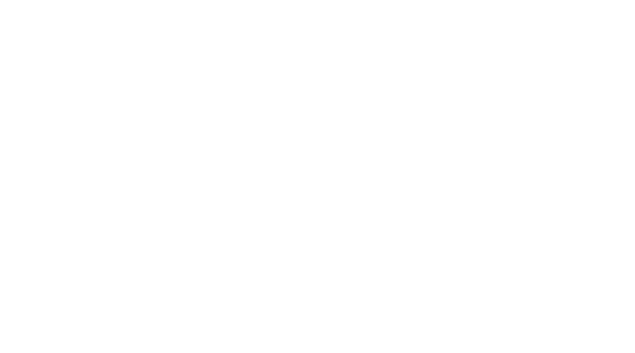 Nolah logo